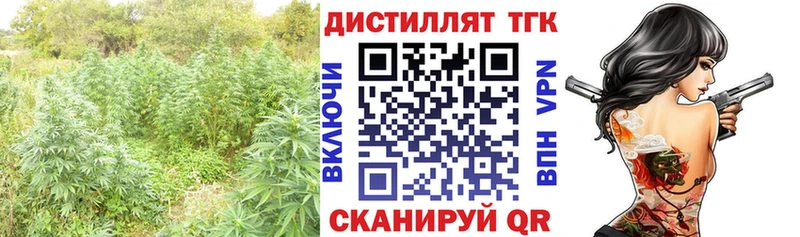 Дистиллят ТГК концентрат наркотики OMG ссылка Сатка